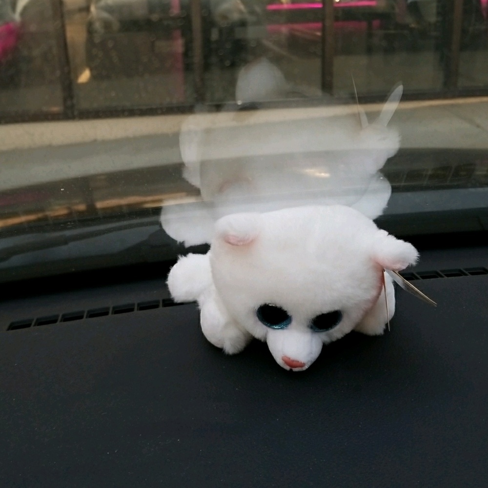 Meet your Posher, Nikkyta , nicole