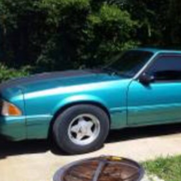 Meet your Posher, Casey - Picture 1 of 1