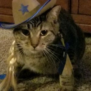 Meet your Posher, Michelle