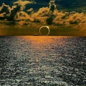 Meet your Posher, German