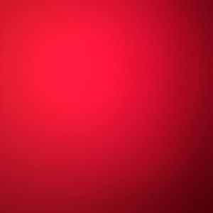 Meet your Posher, Ellie