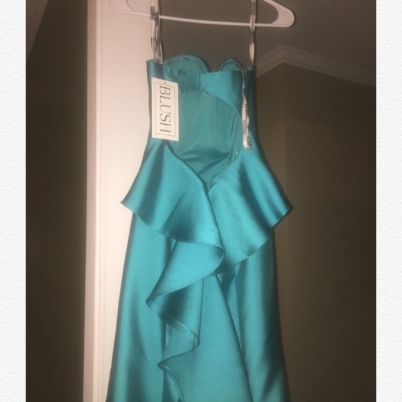 blush formal dress new with tags - Picture 3 of 3