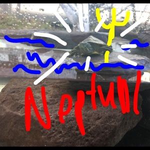 Meet your Posher, Rachael