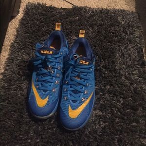 Nike Lebron xii low