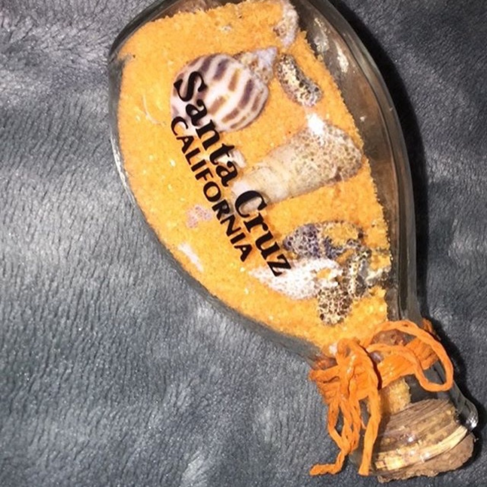 Santa Cruz shell