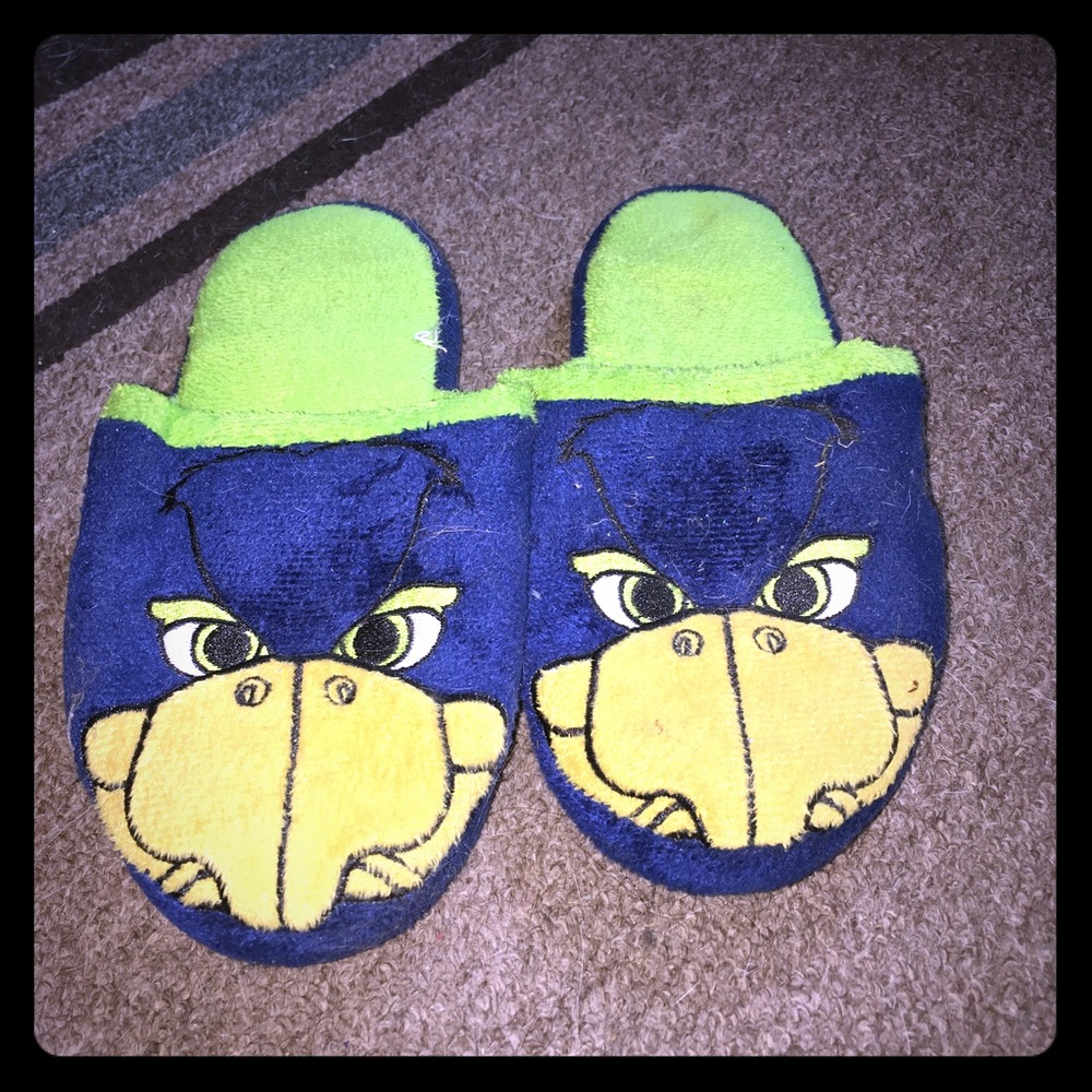 Seahawks slippers