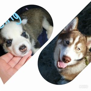 Meet your Posher, Annahmarie