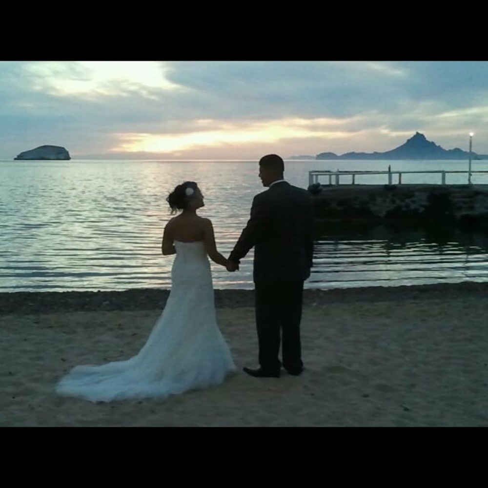 Pro Novias Wedding Dress 2011 Flauta View 4