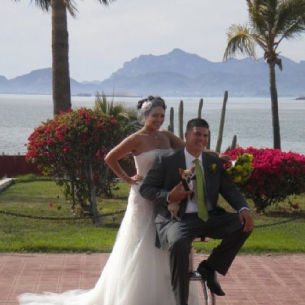 Pro Novias Wedding Dress 2011 Flauta View 5