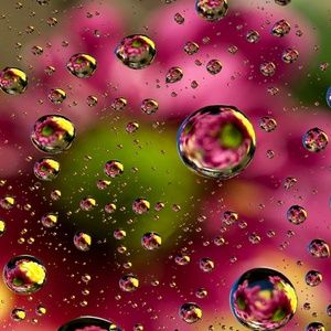 Meet your Posher, Cece