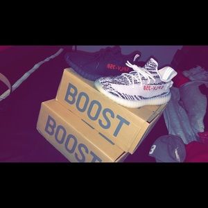 Adidas yeezy boost 350 v2