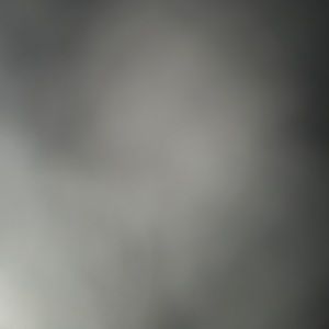 Meet your Posher, Gavin