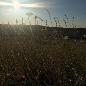 Meet your Posher, Cali