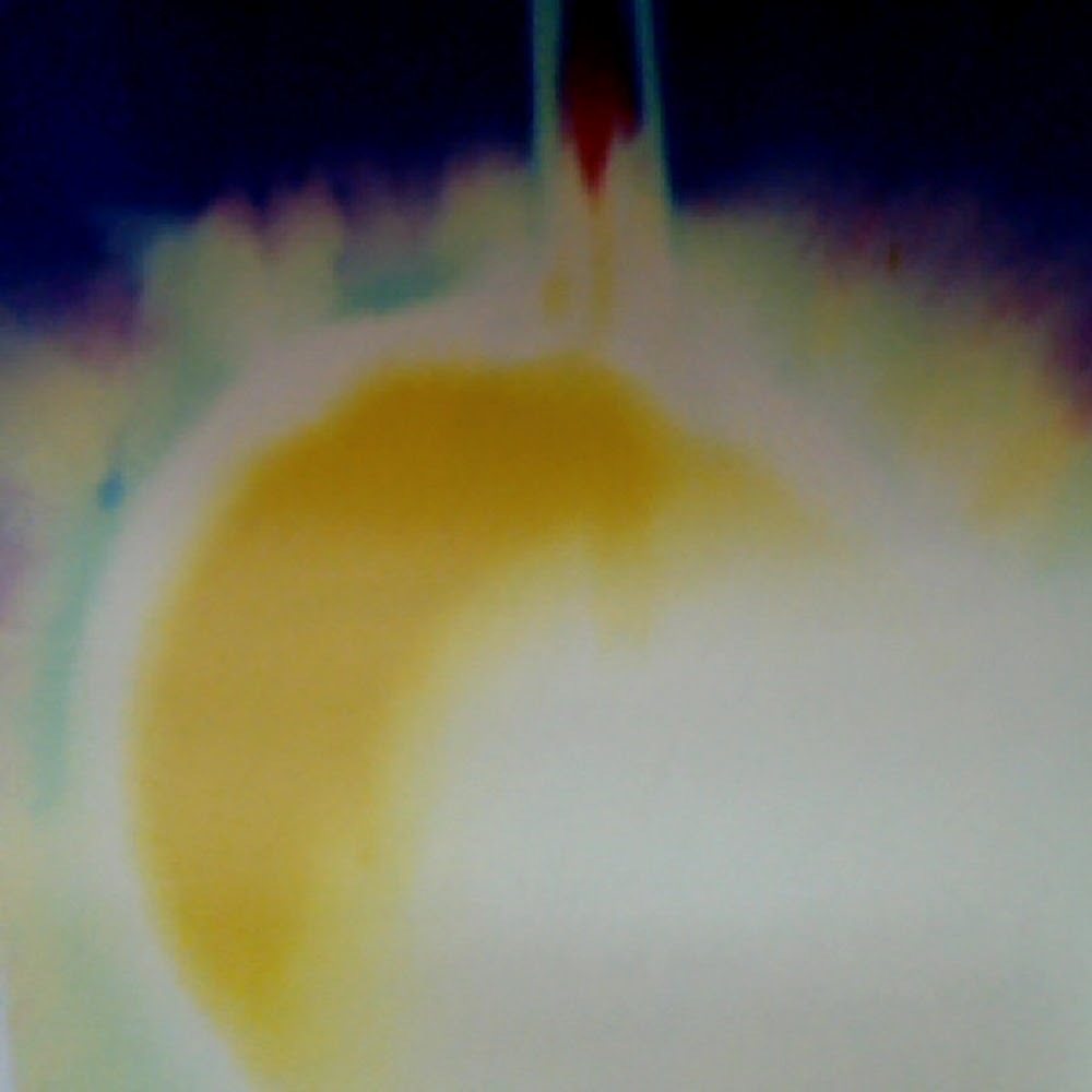 Meet your Posher, Elayne