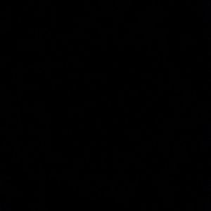 Meet your Posher, Destiny