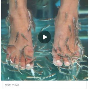 Meet your Posher, Alicia