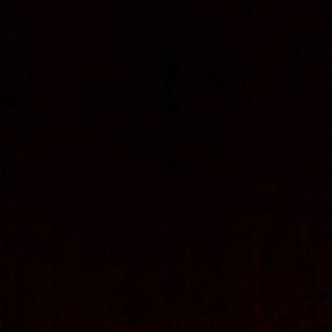 Meet your Posher, Carolyn