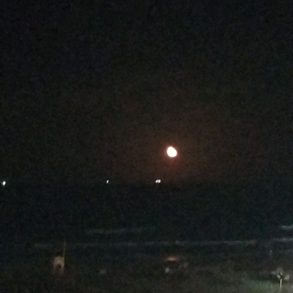 Meet your Posher, Cindy - Picture 1 of 1