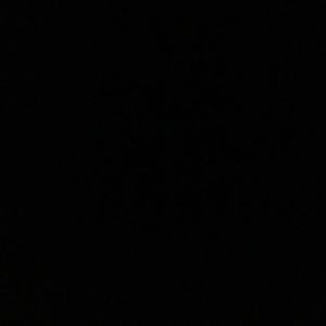 Meet your Posher, Mikey