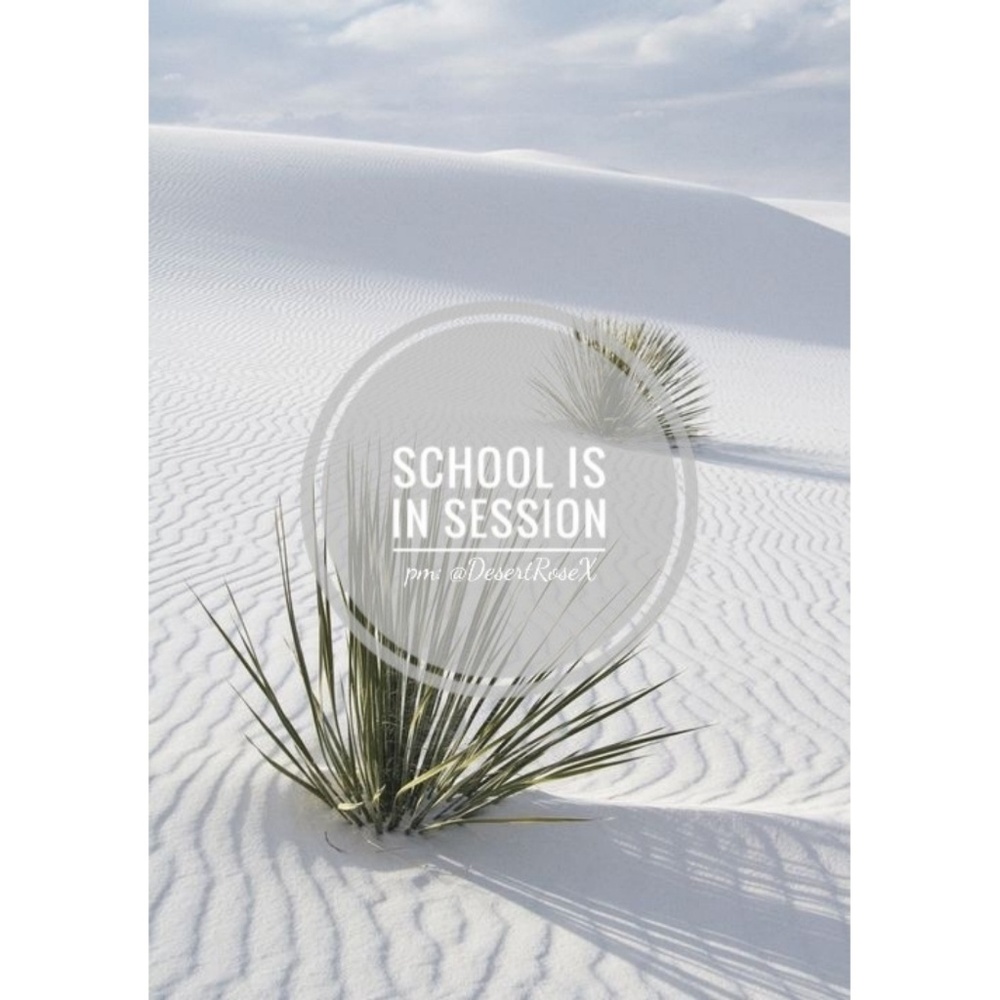 for shares and followings...