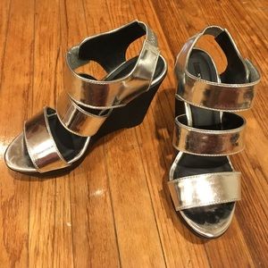 XXI Silver Wedge