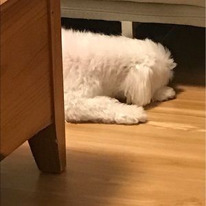 Meet your Posher, Lynne