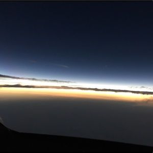 Meet your Posher, Hayden