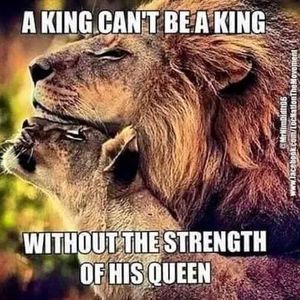 Meet your Posher, Cassie