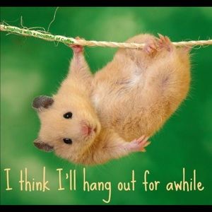 Meet your Posher, Liyuwork