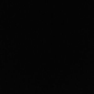 Meet your Posher, Darina