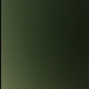 Meet your Posher, Ashlee