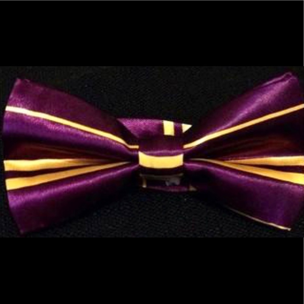 Purple & Gold Bow Ties