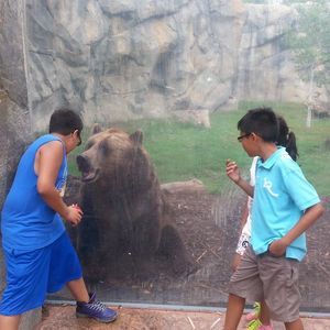 Meet your Posher, Robert