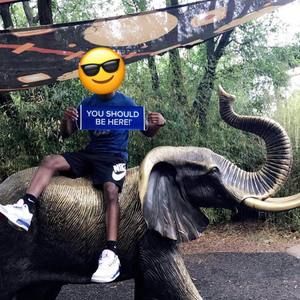 Meet your Posher, Michael