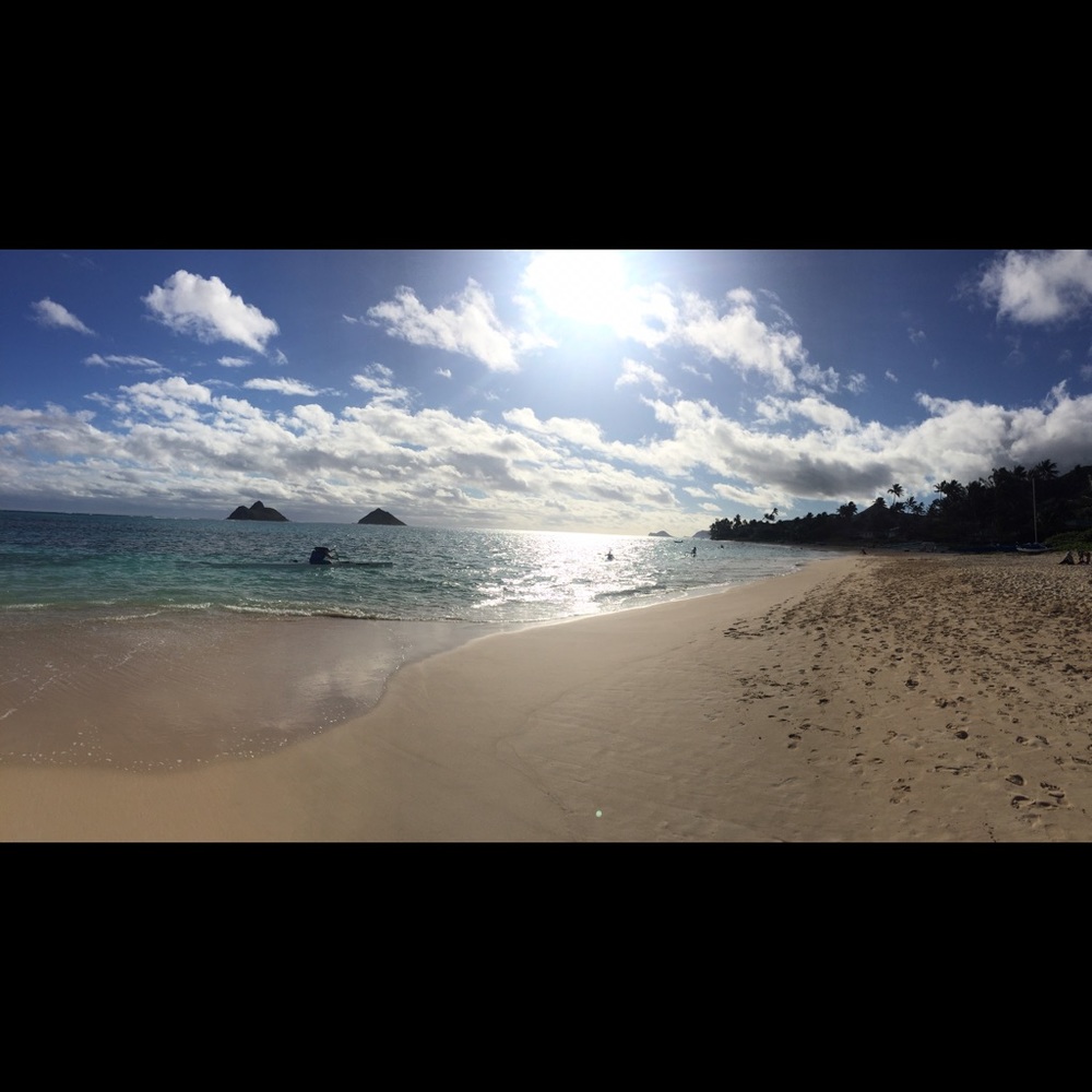 Meet your Posher, Lindsay