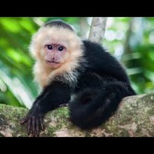 Meet your Posher, Barry