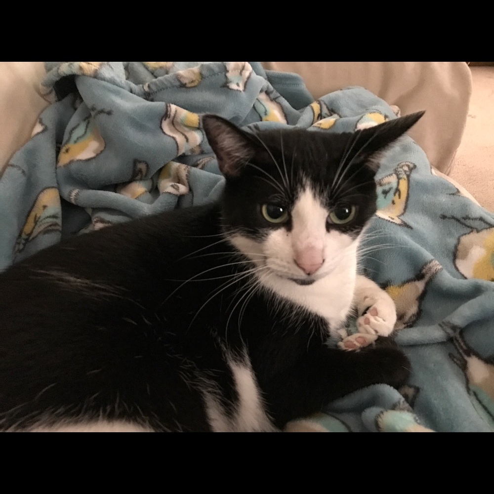 Meet your Posher, Anita