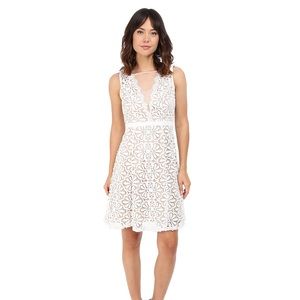 Adrianna Papell V-Inset Fit & Flare Dress