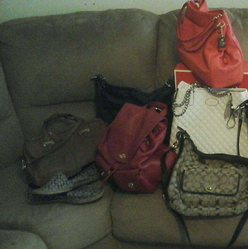 My Coach  Collection - Picture 2 of 2