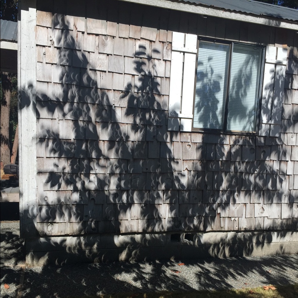 Cool Eclipse Shadows