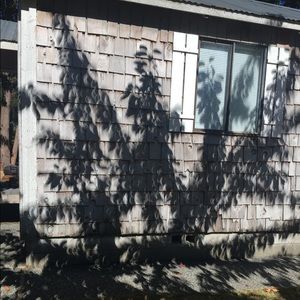 Cool Eclipse Shadows
