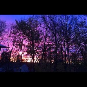 Meet your Posher, Nicholas