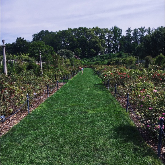 Meet your Posher, Emily - Picture 1 of 1