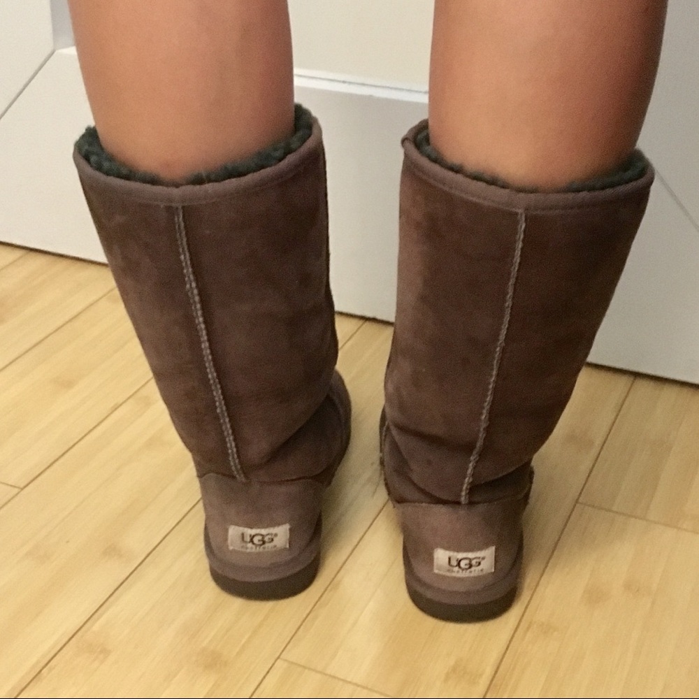 Tall Classic Dark Brown Ugg Boots