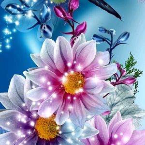 Meet your Posher, Jen