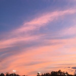 Meet your Posher, Aidan-claire