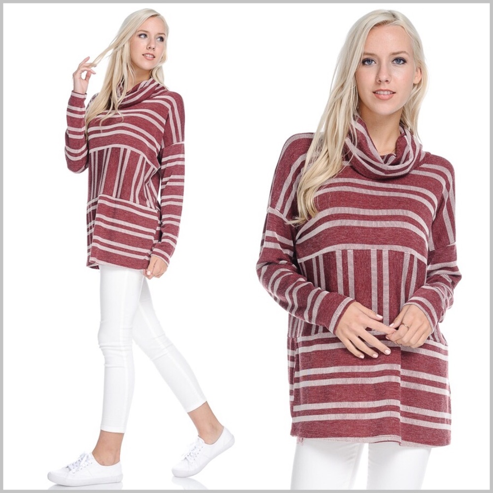 Burgundy Striped Turtleneck Pullover Top - Picture 1 of 8