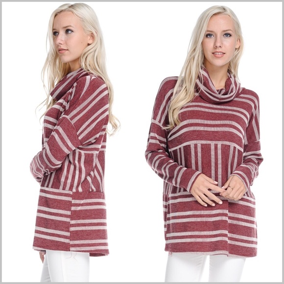 Burgundy Striped Turtleneck Pullover Top - Picture 2 of 8