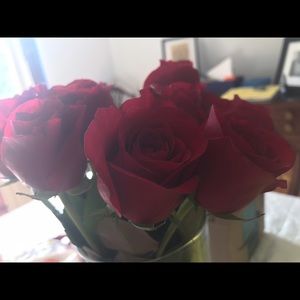 Meet your Posher, Dianne