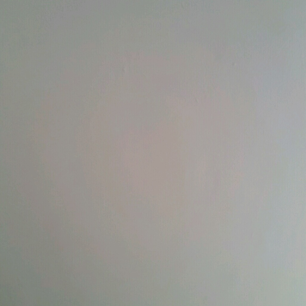 Meet your Posher, Shay